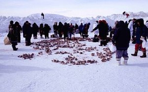Inuit diet. (image credit)